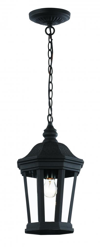1LT HANGING LANTERN-MED-BK-BEV